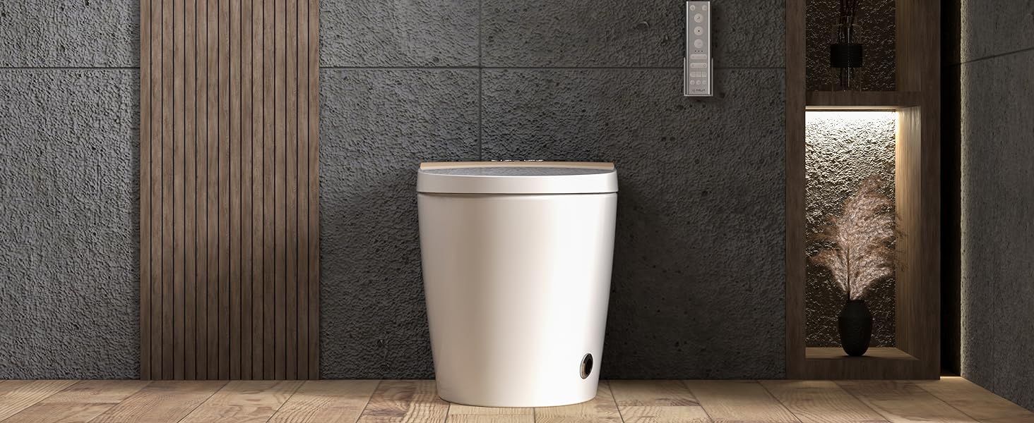 smart bidet toilet