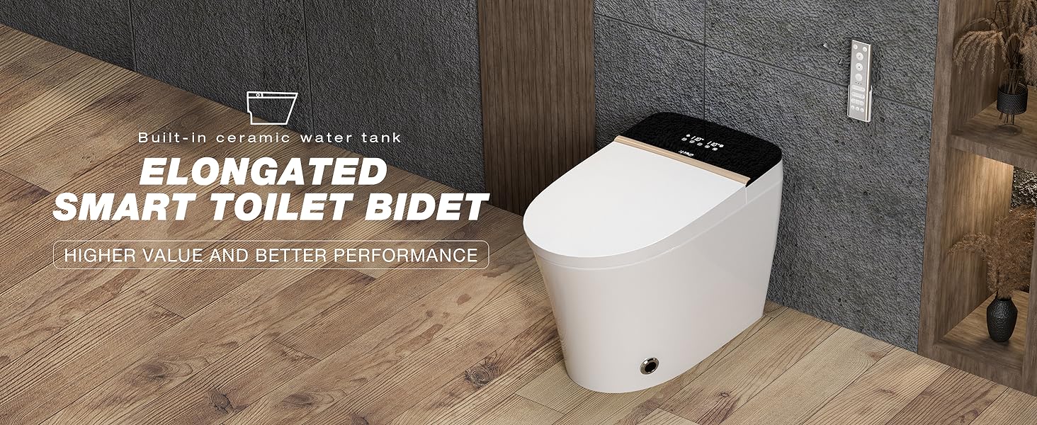 Luxury bidet toilet