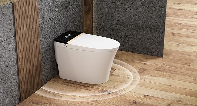 smart toilet