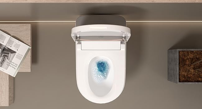 one-piece toilet