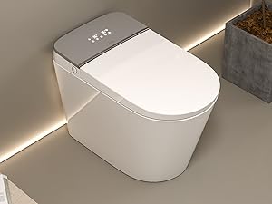 Ceramic smart toilet