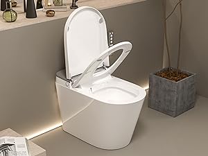 One-pitce smart toilet