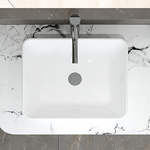 abovecounter sink