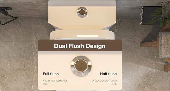 Dual Flush Toilet