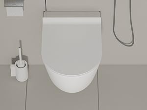 wall hung toilet