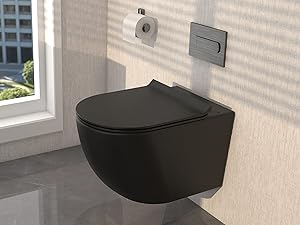 black wall hung toilet