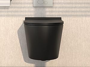 Wall Hung Toilet Bowl