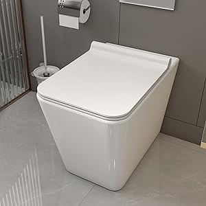 back to wall toilet white