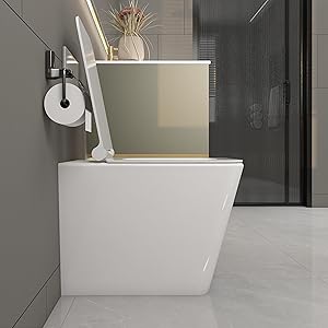 toilet bowl glossy white