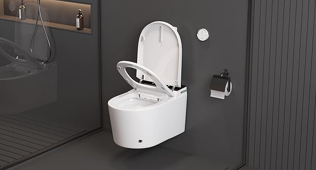 wall hung smart toilet