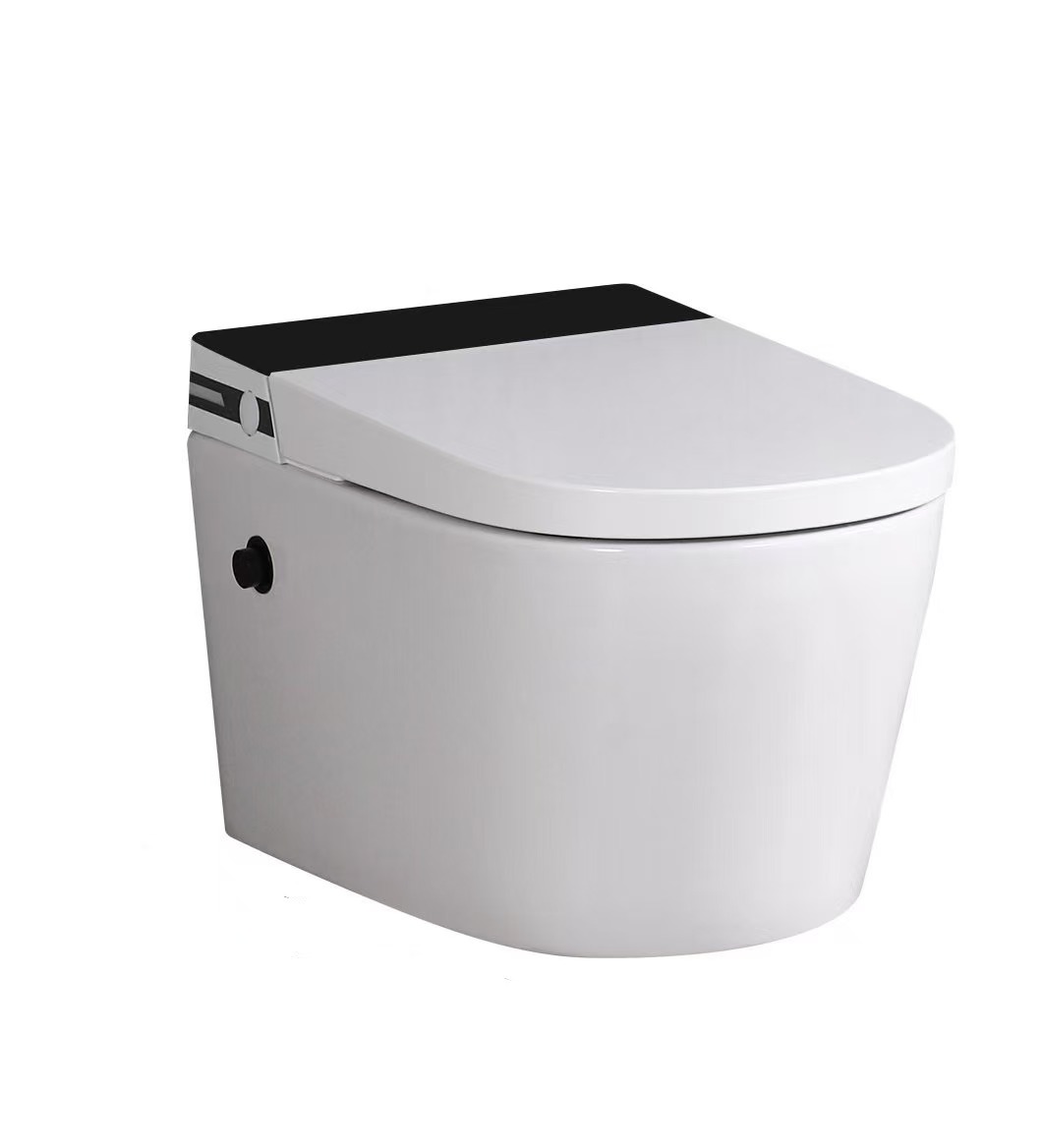 MEJE #T010W - New Wall Hung Toilet Combo,  Soft Close Seat,  Dual Flush