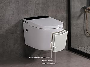 wall hung toilet