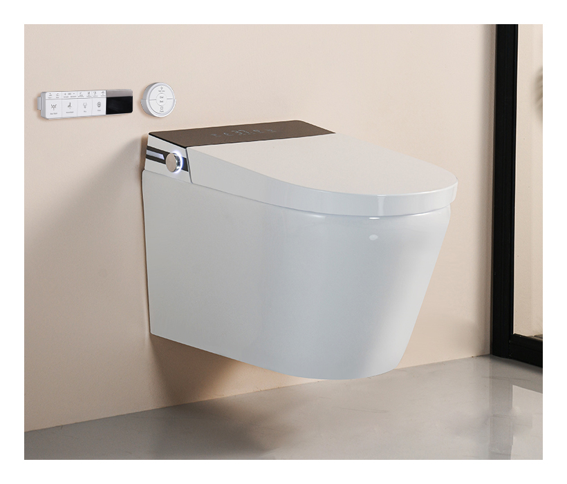 MEJE  T010G Wall Hung Toilet with Bidet Combo, Build In Water Tank