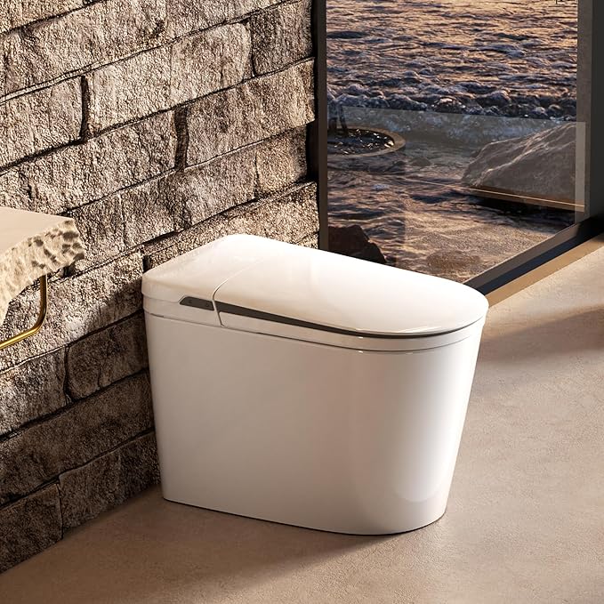 MEJE Smart Toilet  One Piece Elongated Bidet Toilet with Tank Built in
